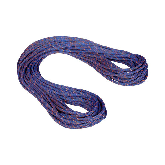 Mammut - 9.0 Crag Sender Dry Rope - Standard, Ice-Sunris