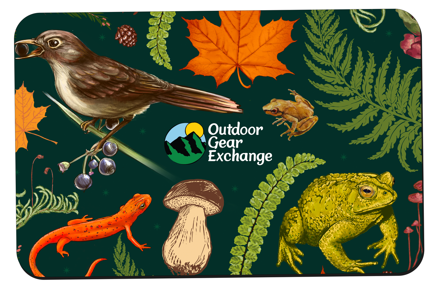 Card with nature-themed design featuring a bird, leaves, a frog, salamander, and mushroom, with 'Outdoor Gear Exchange' logo.